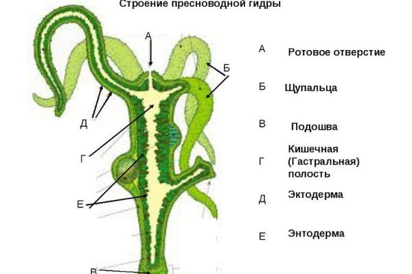 Kraken com зеркало