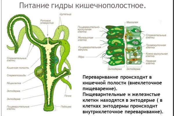 Забыл пароль кракен